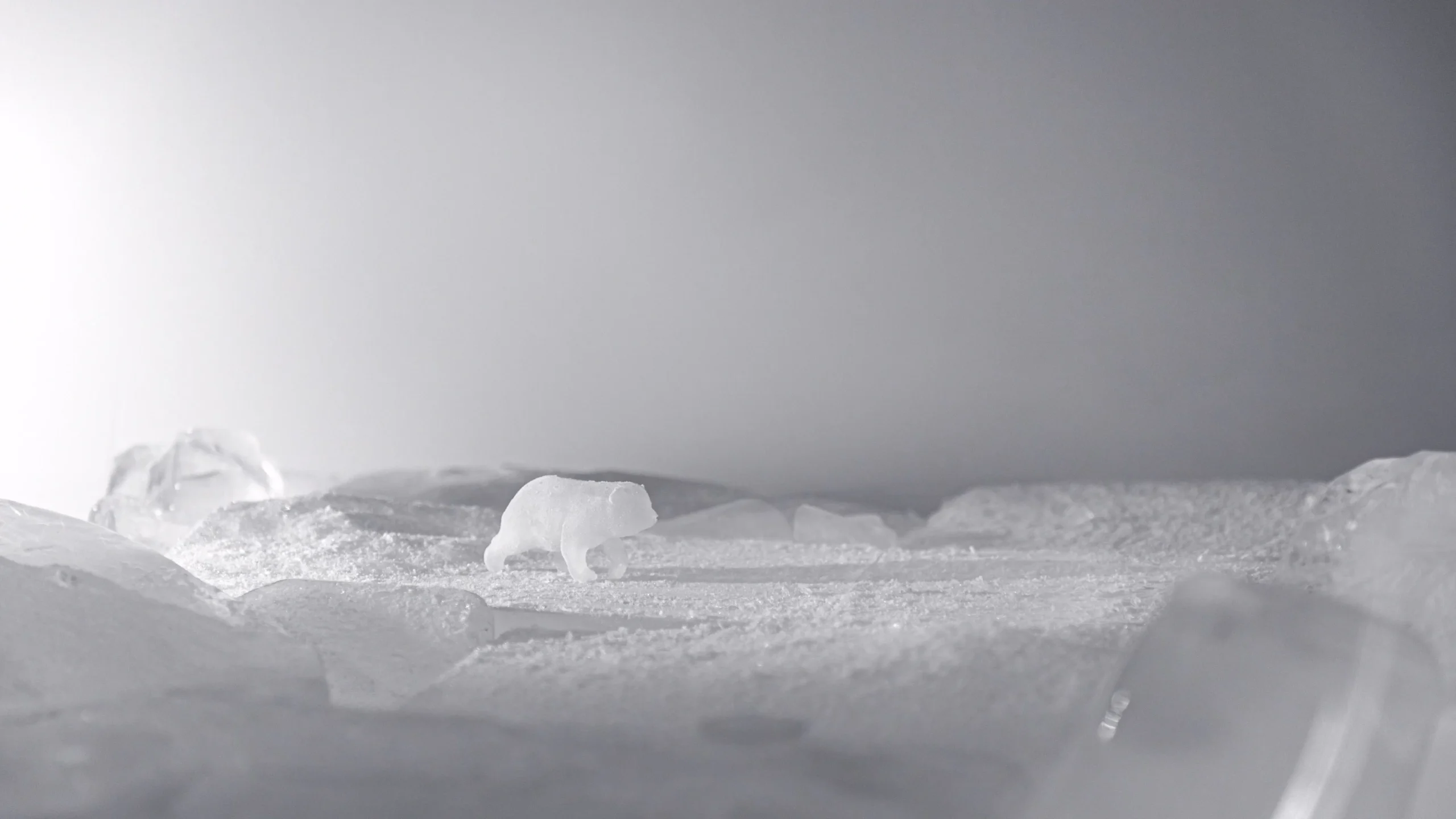 Can’t Negotiate the Melting Point of Ice