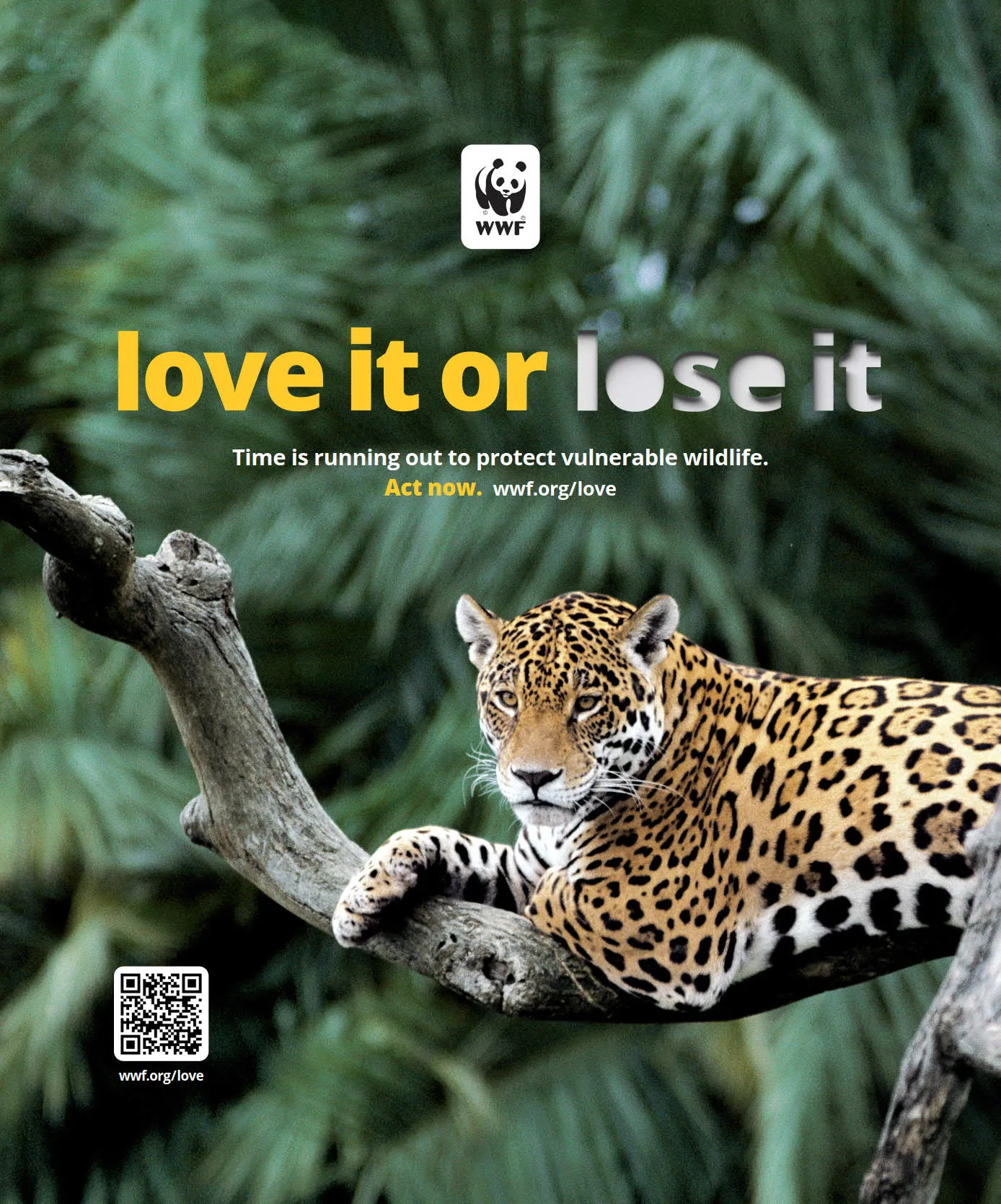 Love It or Lose It