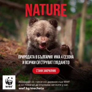 Subscribe to Nature