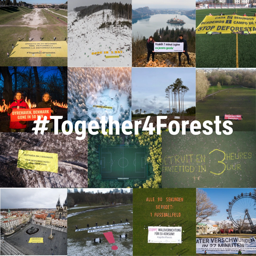 Together4Forests