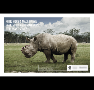 Say No To Rhino Horn